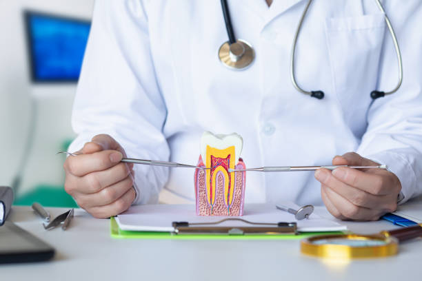 Best Emergency Root Canal Treatment in Merrydale, LA